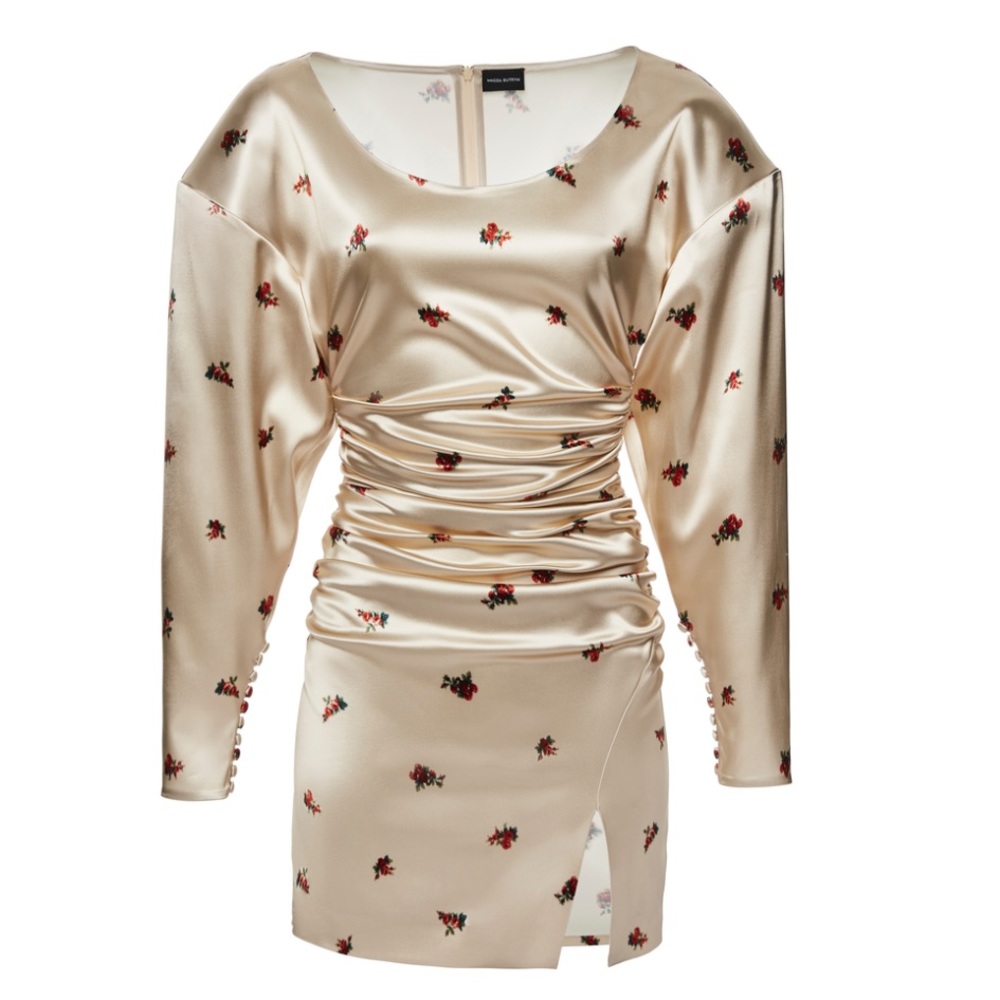 Magda Butrym Dress
